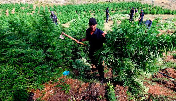 Haravgi Ioannina: el pueblo griego por el que pasa la mayor ruta de tráfico de marihuana en Europa