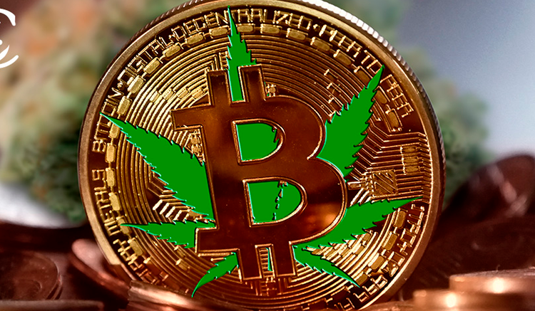 ¿Estás pensando en invertir en criptomonedas? Mira estas 5 criptos cannábicas