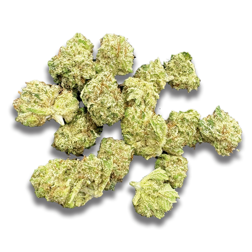 MINIBUDS PREMIUM