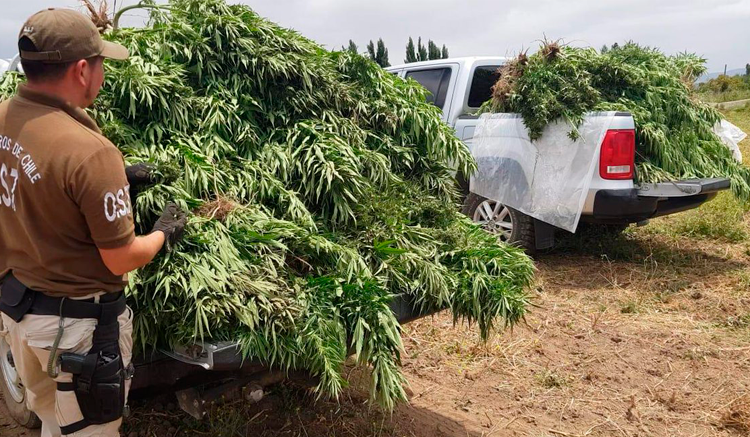 ¿No sabes dónde guardar la marihuana en casa? Estos son los mejores escondites
