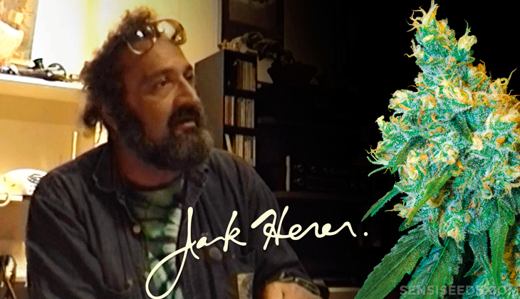 ¿Quién es Jack Herer? Os contamos más sobre el activista de marihuana que tiene una variedad con su nombre