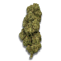 DIESEL - imagen 1