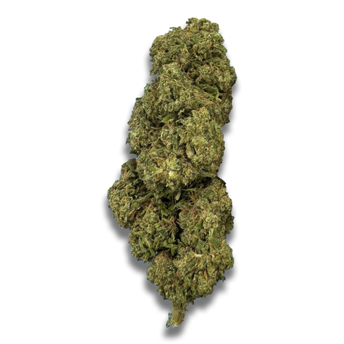 DIESEL