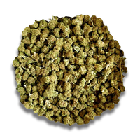 MINIBUDS - imagen 1